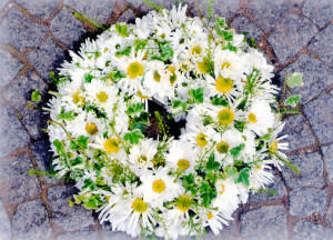 scan044