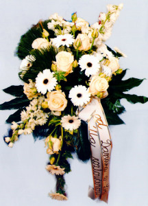 scan048