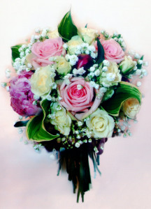 scan050