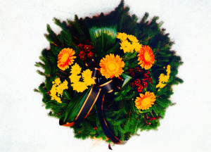 scan053
