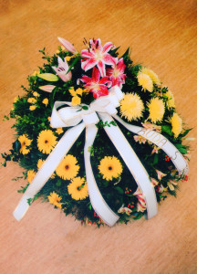 scan056
